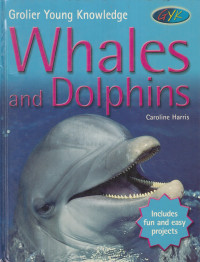 Whales and dolphins