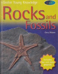 Rocks and fossils