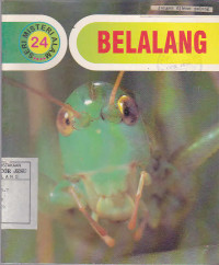 Belalang