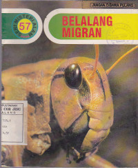 Belalang Migran