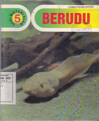 Berudu