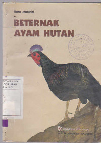 Beternak Ayam Hutan