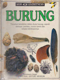 Reka Mereka : Burung