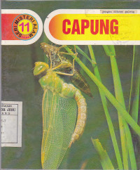 Capung