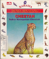 Rahasia Dunia Binatang : Cheetah Rekor Kecepatan Cheetah