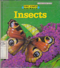 Insects