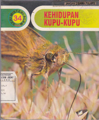 Kehidupan Kupu-Kupu