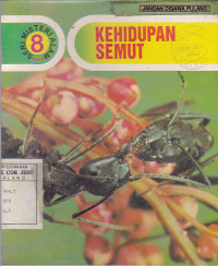 Kehidupan Semut