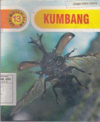 Kumbang