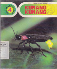 Kunang-Kunang