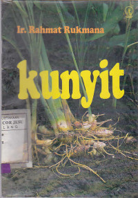 Kunyit