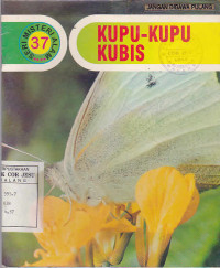 Kupu-Kupu Kubis