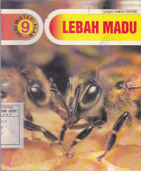 Lebah Madu