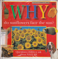 Why do sunflowers face the sun? Questions Children ask about Nature