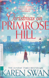 Christmason Primrose Hill