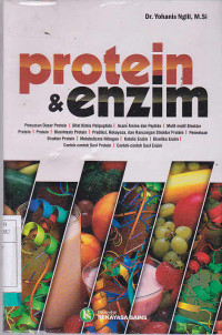 Protein & Enzim