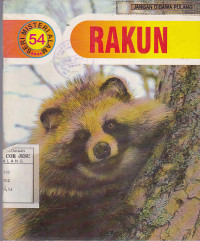 Rakun