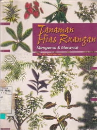 Tanaman Hias Ruangan