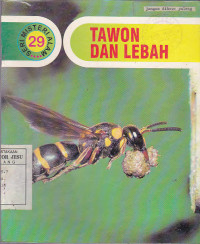 Tawon dan lebah