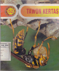 Tawon Kertas