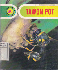 Tawon Pot