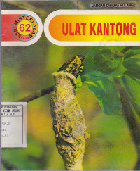 Ulat kantong