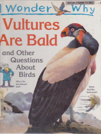 I Wonder Why : Vultures Are Bald